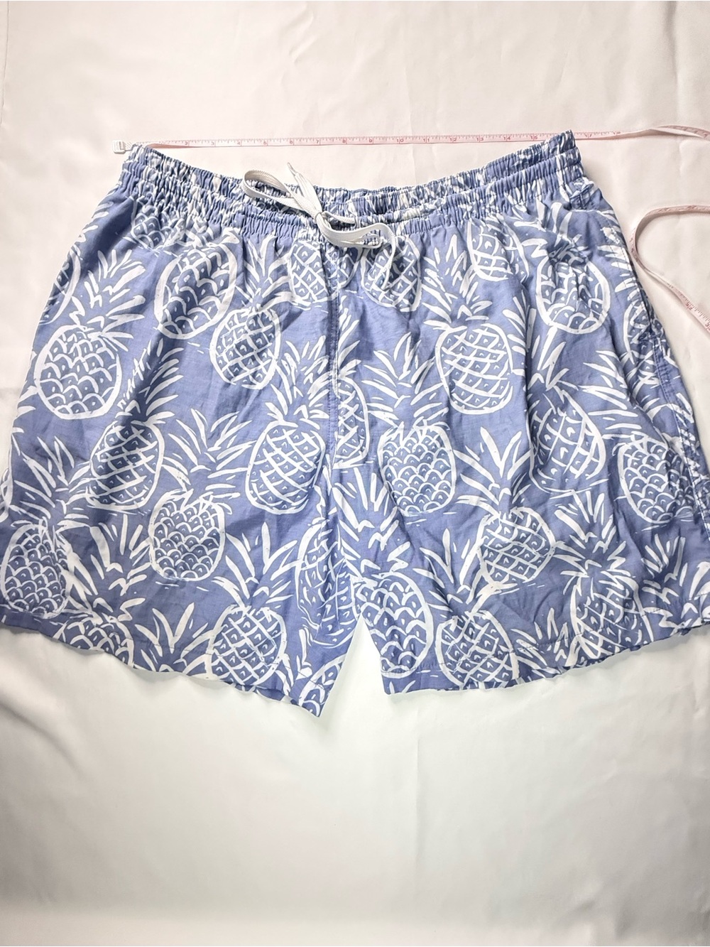 chubbies Light Blue & White Pineapple Swim Trunks